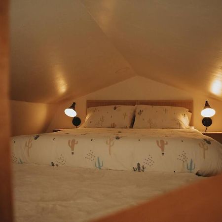 Agave Tiny House At Cactus Flower-Hot Tub-Pet Friendly-No Pet Fees! ألباكركي المظهر الخارجي الصورة