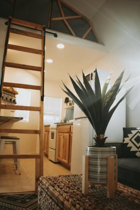 Agave Tiny House At Cactus Flower-Hot Tub-Pet Friendly-No Pet Fees! ألباكركي المظهر الخارجي الصورة