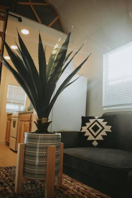 Agave Tiny House At Cactus Flower-Hot Tub-Pet Friendly-No Pet Fees! ألباكركي المظهر الخارجي الصورة