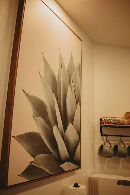 Agave Tiny House At Cactus Flower-Hot Tub-Pet Friendly-No Pet Fees! ألباكركي المظهر الخارجي الصورة